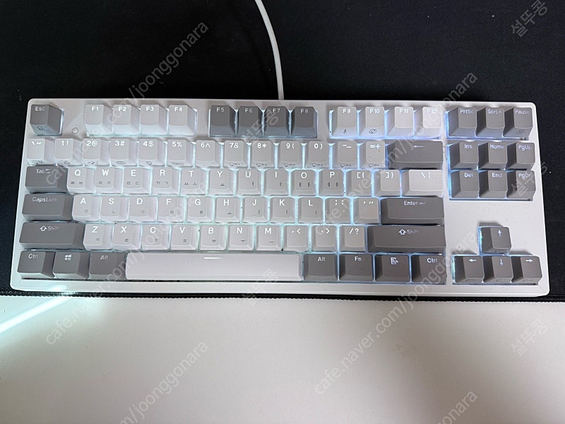 콕스 엔데버 무접점 50g 화이트--1