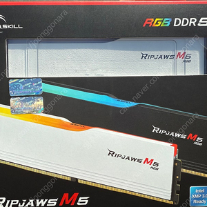 [G.SKILL] DDR5 PC5-41600 CL40 RIPJAWS M5 RGB 화이트 [32GB (16GB*2)] (5200)