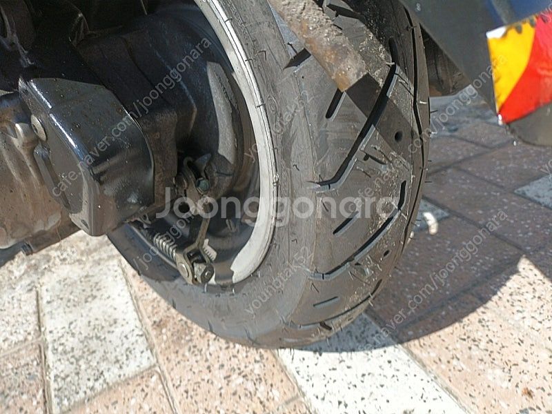 SCR알파--6