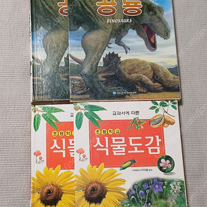 초등자연학습도감, 식물도감 판매합니다