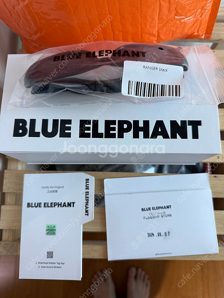 블루 엘리펀트 선글라스 Blue Elephant Ran...--0