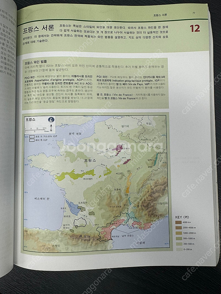 WSET3 중고 교재 구합니다 (영문판)--0