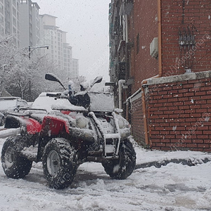 19년 올코트125 atv.사륜바이크.사발이 110만원 판매