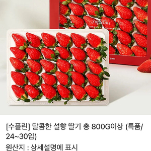 카카오 선물 설향딸기 800g (특품 24-30입)