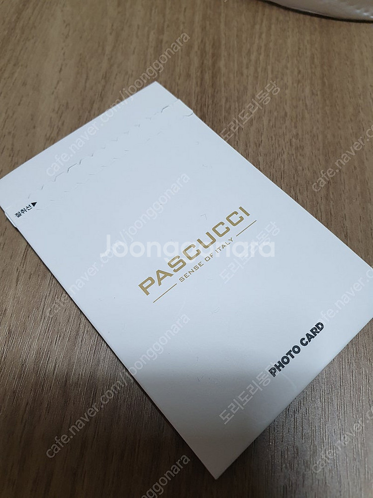 카리나 파스쿠찌 포토카드 미개봉 포카 파스쿠치--0