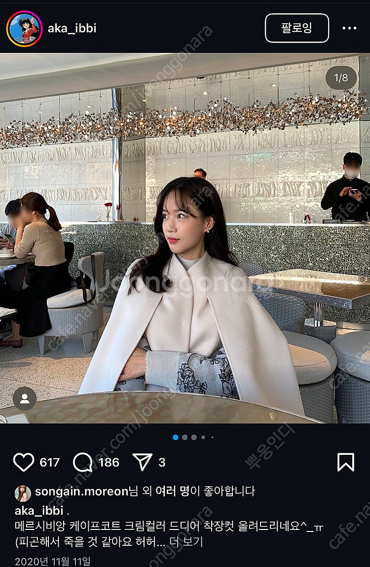 메비 코트 메르시비앙 케이프코트 뉴케이프코트--1
