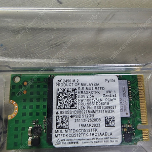 마이크론 nvme 512gb 2450