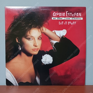 Gloria Estefan And Miami Sound Machine " Anything For You " _ US 오리지널 초반