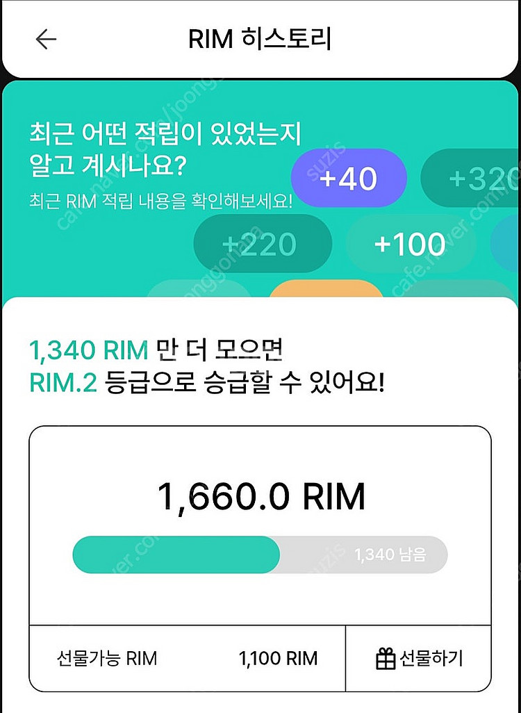 아난티 림(1100)--0