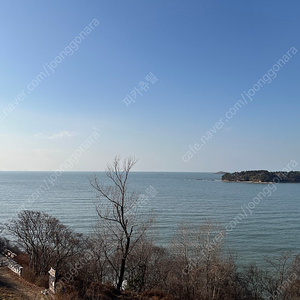 애플 교육할인 유니데이즈 인증해주실분