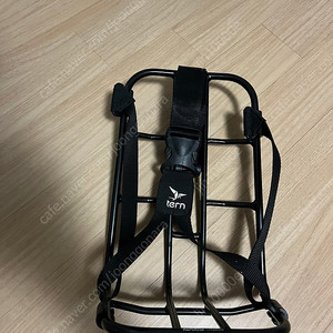 턴 캉가렉(캉가랙)