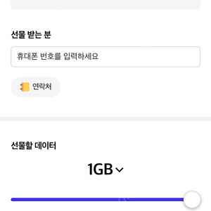 SK데이터 2기가