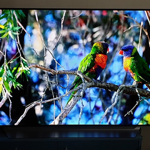 LG OLED 65인치 UHD 4K 스마트TV 판매