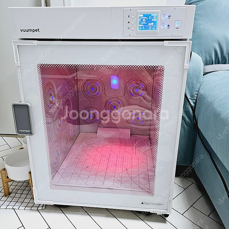 붐펫k100 화이트--2
