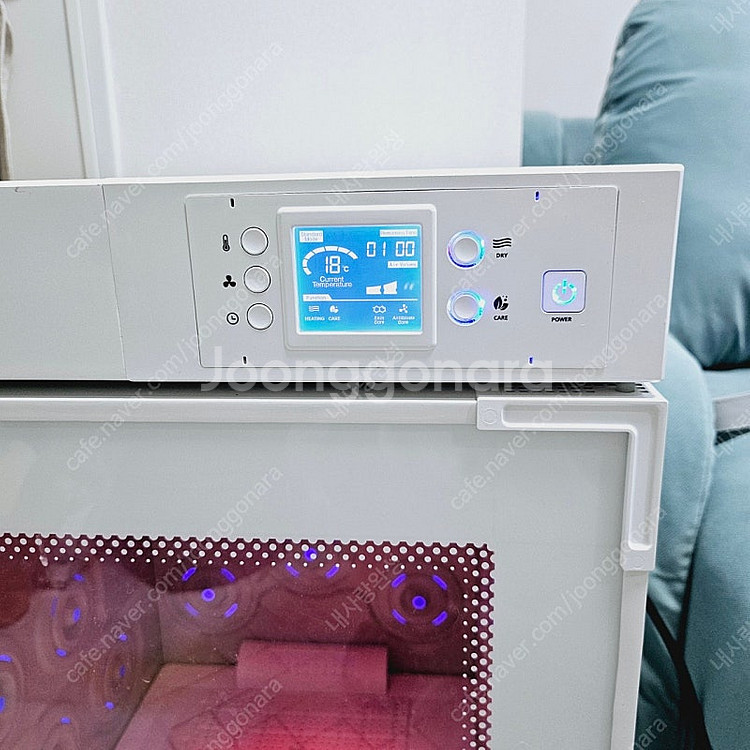 붐펫k100 화이트--3