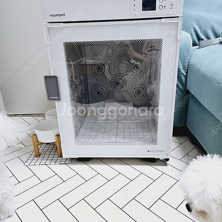붐펫k100 화이트--5