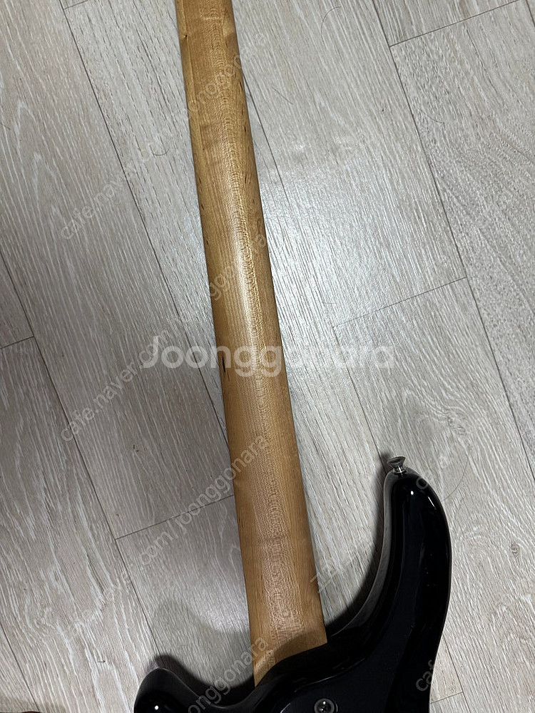 페르난데스 베이스 기타--5