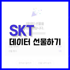 skt데이터 2기가