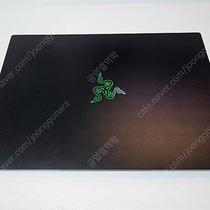 레이저 블레이드 14 (Razer Blade 14) R9 Zen3 RTX3080 QHD 노트북