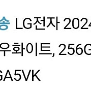 16Z90R-GA5VK LG전자 2024 그램 16 코어15 인텔 13 세대