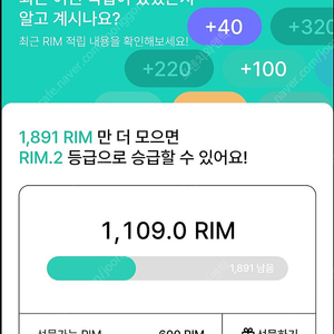 아난티 rim 600림 팝니다.