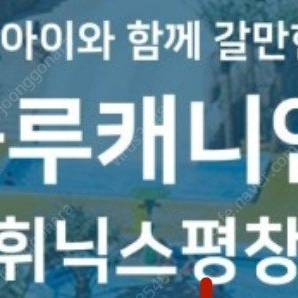 휘닉스파크 블루캐니언 종일권