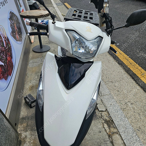 Vf100 2021년식 15000키로 급매네고X