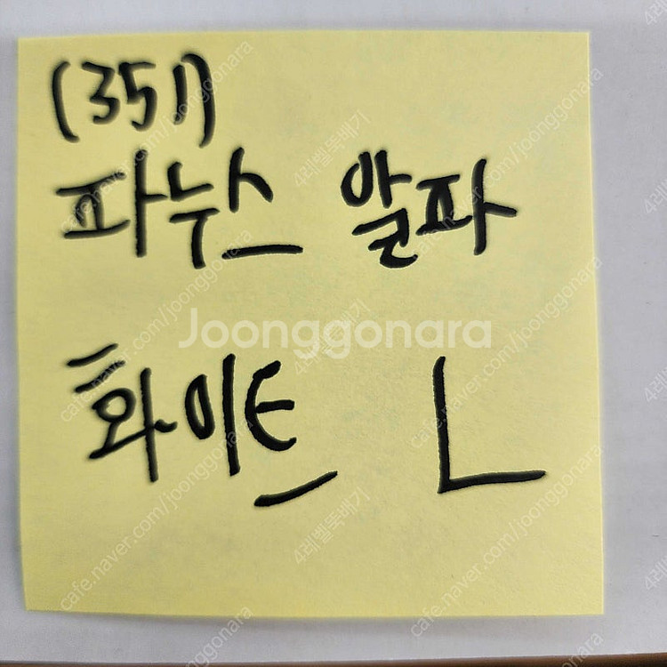 (351) 파누스알파 화이트 L 스키헬멧 보드헬멧 블루...--0