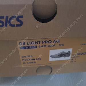 아식스 ds light pro ag 260mm 판매합니다