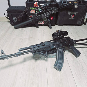 E&L AK74MN LIMITED 풀드레스업 판매합니다