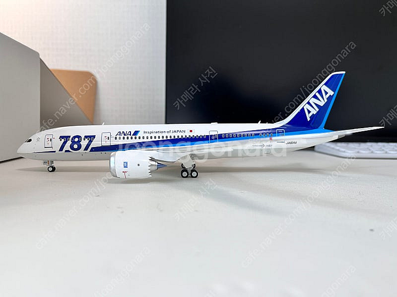 1/200 jfox ANA b787-8 JA824A 판...--5