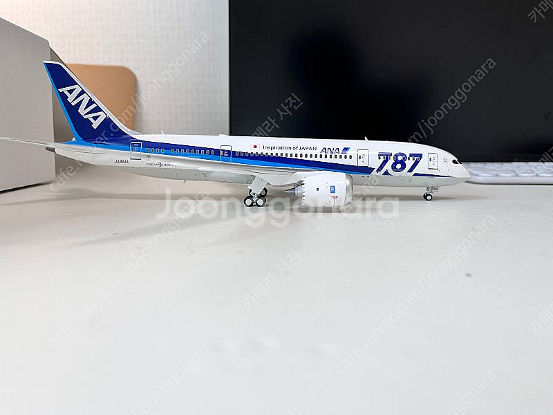 1/200 jfox ANA b787-8 JA824A 판...--6