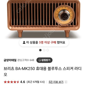 브리츠 블루투스 라디오스피커 BA-MK250