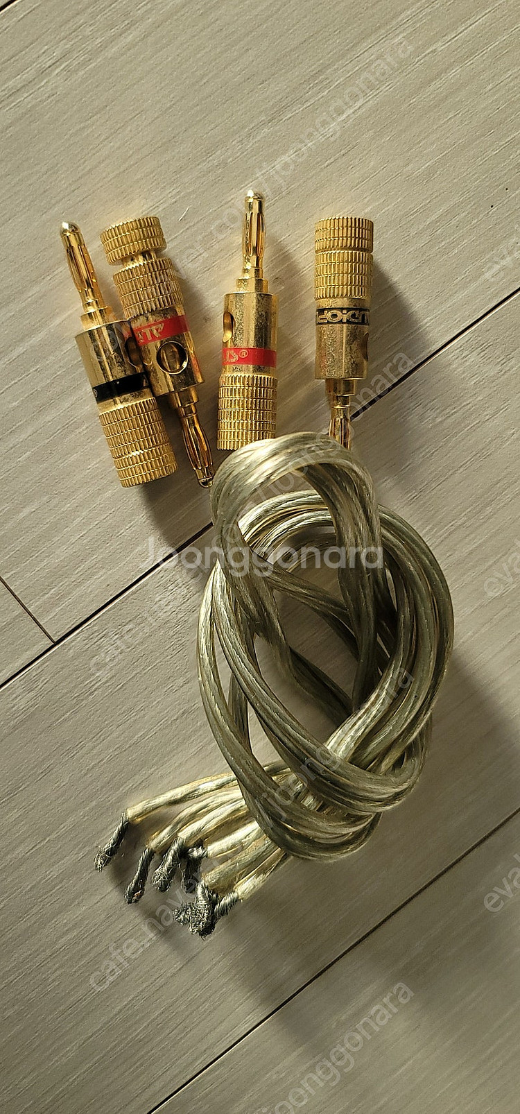 보스 BOSE 101 MM--2