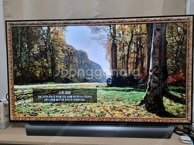 LG OLED 55인치 (55C8CNA)--0