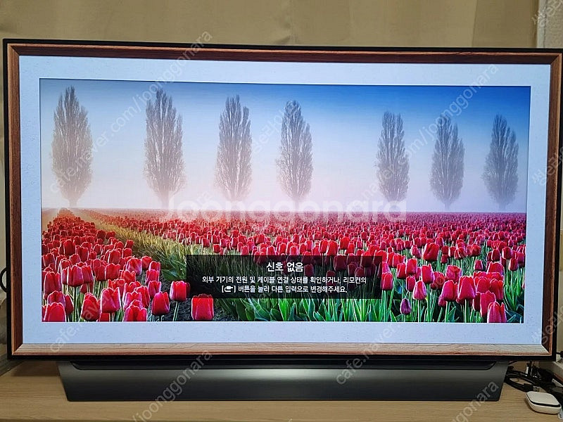 LG OLED 55인치 (55C8CNA)--1