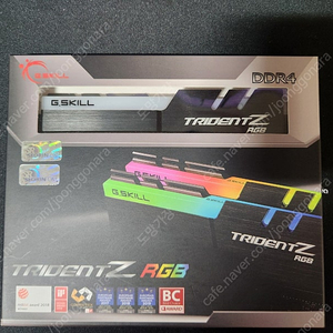 지스킬 트라이던트z rgb 3200 cl14 16x2