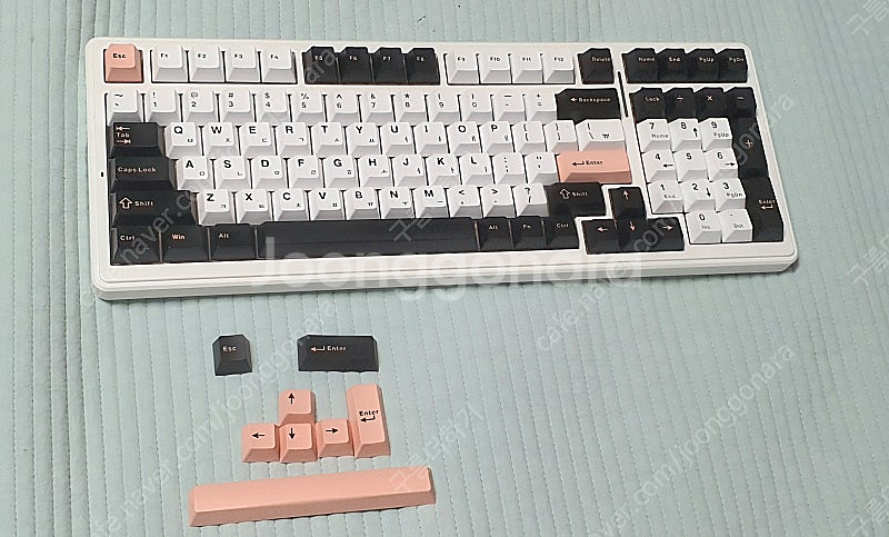 AULA F99 독거미 올리비아 화이트 (황축) 팔아요 [운포 50,000]--1