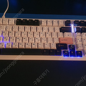 AULA F99 독거미 올리비아 화이트 (황축) 팔아요 [운포 50,000]