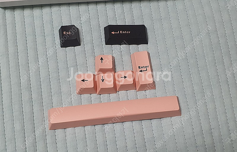 AULA F99 독거미 올리비아 화이트 (황축) 팔아요 [운포 50,000]--3