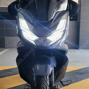 (광주광역시) pcx125