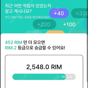 아난티 RIM 2000림 [판매]