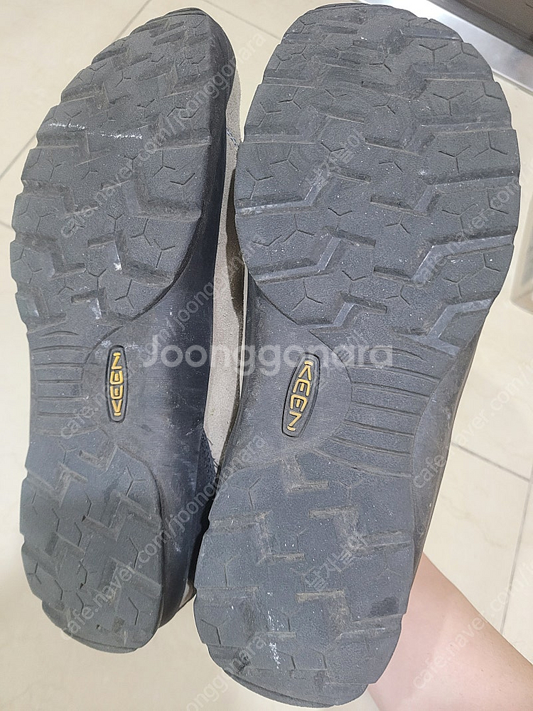 Keen 재스퍼 285--1