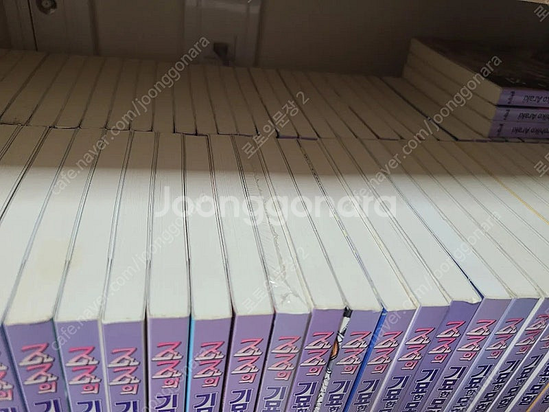 죠죠의 기묘한 모험 만화책 판매 택포. 소장용--3