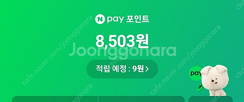 네페포인트 8500원팝니다--0