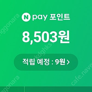 네페포인트 8500원팝니다