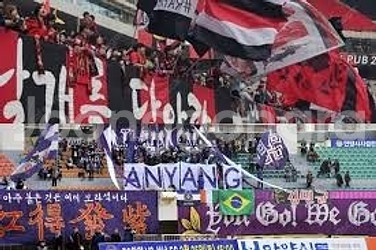 Fc안양 vs Fc서울 원정석 abc구역 2연석 삽니다--0