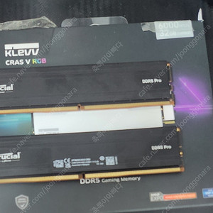 마이크론 Crucial DDR5-5600 CL46 PRO 16x2 32기가 2개 팝니다