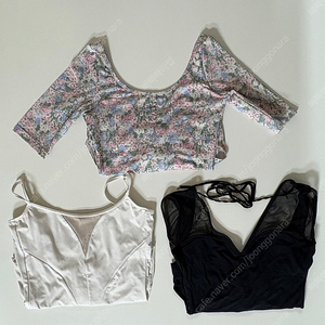 발레복 정리(레브당스, 미뇽발레,보우낸져)