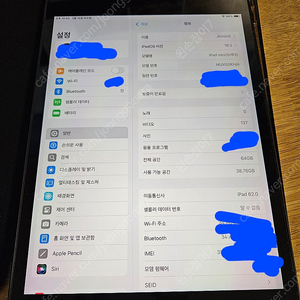 아이패드 미니5 64 셀룰러 팝니다